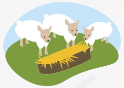 山羊吃草素材