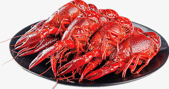 红色的小龙虾png免抠素材_新图网 https://ixintu.com 产品实物 油炸 美味 营养