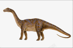 长脖子四腿恐龙长尾巴恐龙高清图片