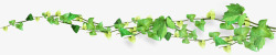 藤蔓装饰素材春天绿叶藤蔓植物清新装饰高清图片
