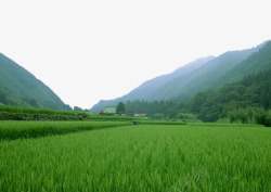 夏季摄影山脚下的美景高清图片