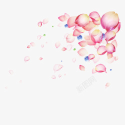 蓝色粉红色漂浮着的粉红花瓣高清图片