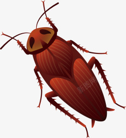 蟑螂图片可怕褐色蟑螂矢量图高清图片