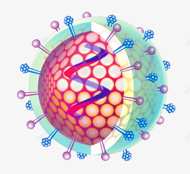 生物细胞分子细胞示意图png免抠素材_新图网 https://ixintu.com 分子细胞 平面 生物科学 生物细胞 科学示意图 自然科学