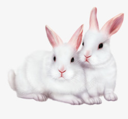 Q版粉色水母两只小白兔高清图片