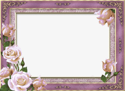 紫色蝴蝶结花框精美画框高清图片