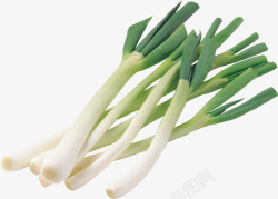 蔬菜食材一排整齐的绿色大葱高清图片
