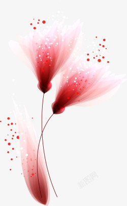 梦幻光斑背景唯美红色花朵高清图片