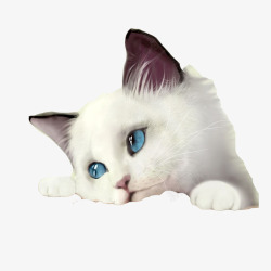 小忧伤卡通蓝眼睛猫咪高清图片