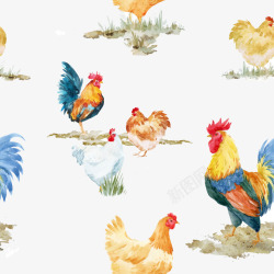 平面鸡卡通手绘彩色公鸡群白色鸡矢量图高清图片