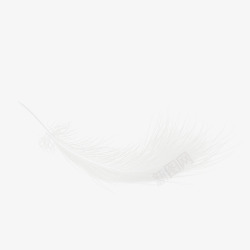 白色羽毛笔白色羽毛矢量图高清图片