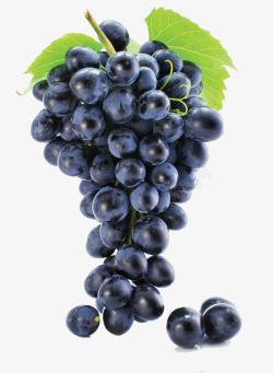 紫色的葡萄葡萄黑提高清图片