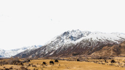 西藏然乌湖风景六素材