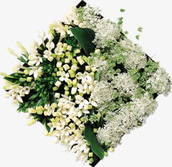 白色鲜花盒子素材