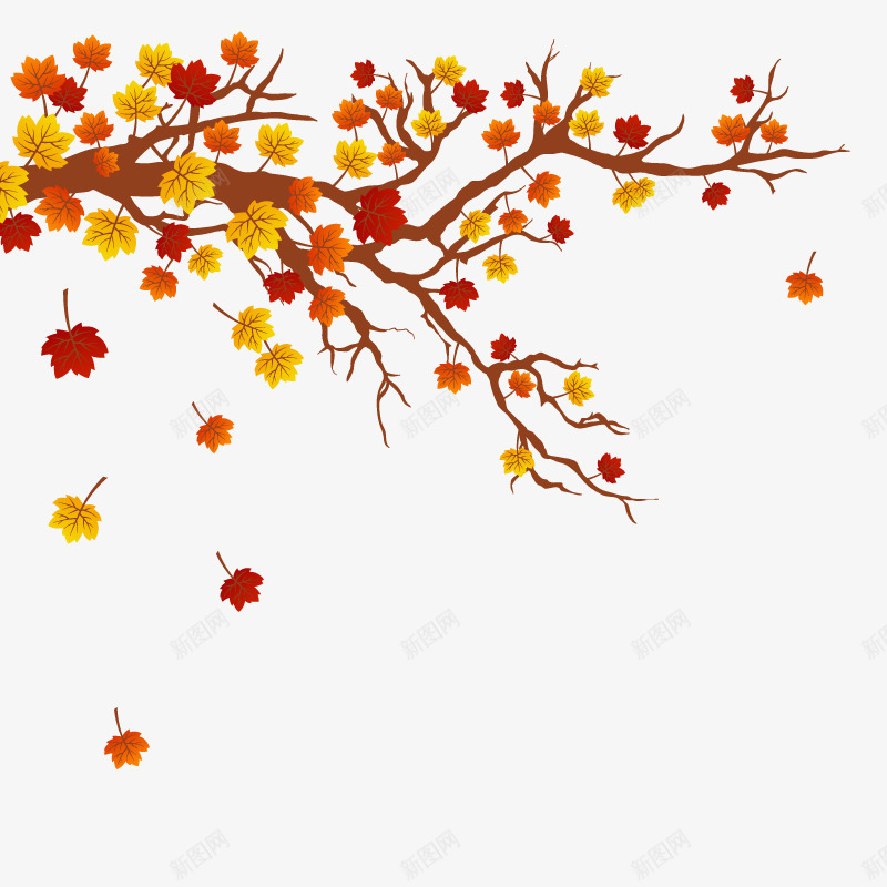 秋天的枫叶png免抠素材_新图网 https://ixintu.com 高清 黄色的叶子