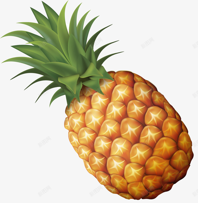 菠萝手绘卡通水果png免抠素材_新图网 https://ixintu.com 卡通 手绘 水果 菠萝