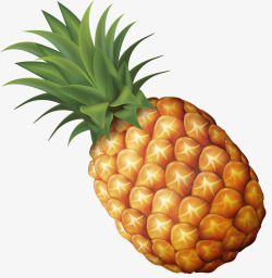 手绘菠萝PNG菠萝手绘卡通水果高清图片