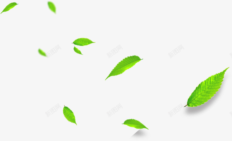 绿色清晰树叶飘落png免抠素材_新图网 https://ixintu.com 树叶 清晰 漂浮 绿色 飘落