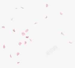 樱花矢量粉色简约一地花瓣高清图片