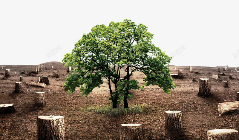 砍伐树木psd免抠素材_新图网 https://ixintu.com 公益 树木 环保 砍伐 砍伐树木