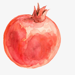 彩绘食物手绘水果食物之石榴矢量图高清图片