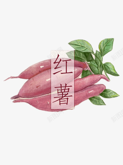 红薯png免抠素材_新图网 https://ixintu.com 农作物 地瓜 地瓜叶 红薯叶 红薯销售海报 蔬菜