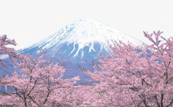 日本景区富士山和樱花高清图片