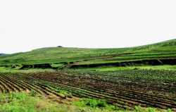 农民的土地草原肥沃黑土地高清图片