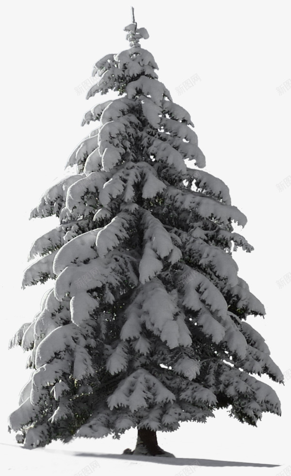 com 下雪 下雪天 冬日 冰天雪地 松树免抠素材 松树厚雪 树免抠 树免