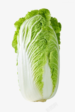 蔬菜青菜大白菜高清图片