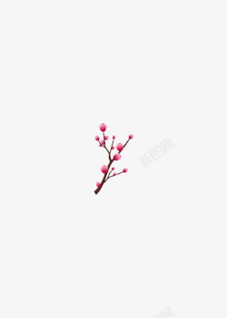 粉色梅花梅花素材