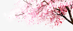 樱花活动摄影手绘活动樱花高清图片