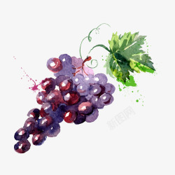 水彩食品矢量图手绘葡萄高清图片