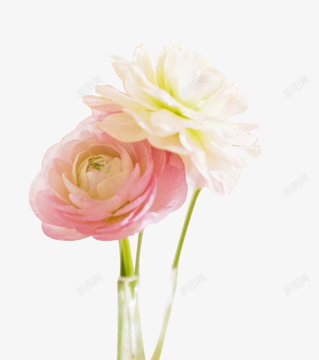 淡雅粉色花朵图标png_新图网 https://ixintu.com 周一 图 插图标签 早安问候 星期一问候 淡雅花朵 粉色花朵