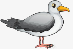 灰白色鸽子卡通手绘动物高清图片