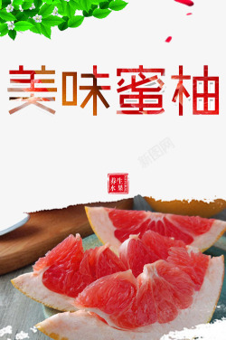 柚子树叶美味蜜柚广告高清图片