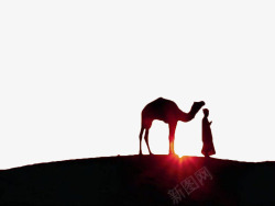 夕阳下的骆驼素材