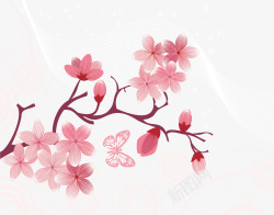 樱花纹樱花节花纹高清图片
