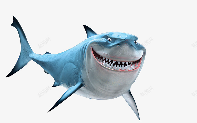 蓝色鲨鱼png免抠素材_新图网 https://ixintu.com 图片 蓝色 鲨鱼 鲨鱼头像
