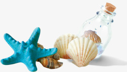 首页沙滩漂流瓶摄影夏日沙滩海星贝壳漂流瓶高清图片