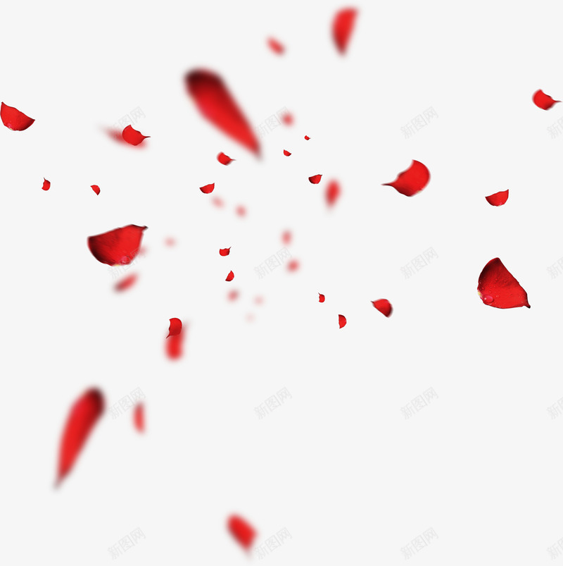 红色玫瑰花瓣png免抠素材_新图网 https://ixintu.com 图片 玫瑰 红色 花瓣 飘浮 撒落