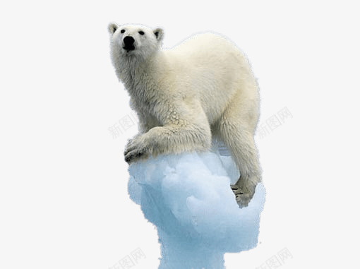 冰上的北极熊png免抠素材_新图网 https://ixintu.com 产品实物 冰块 冰山 冰山PNG图 冰山免扣图 冰山免扣实物图 北极熊 坐着的北极熊 模型