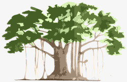 生态园林手绘绿色环保孟加拉古榕树高清图片