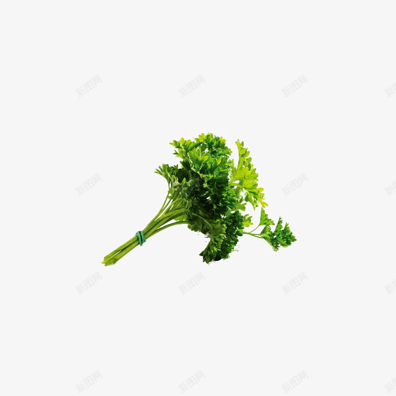 西餐配菜png免抠素材_新图网 https://ixintu.com 健康美味 新鲜 绿色 美食 蔬菜 西餐配菜 香味调料