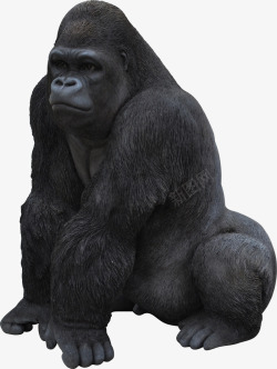 大猩猩矢量端坐的强壮的黑色大猩猩高清图片