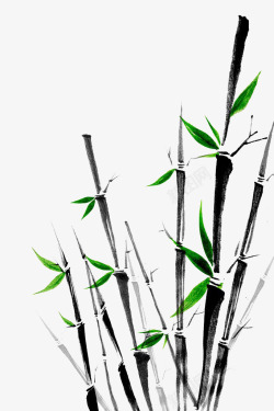 竹树竹子手绘高清图片