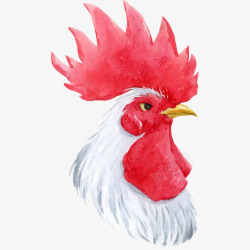 卡通手绘水彩公鸡鸡头素材