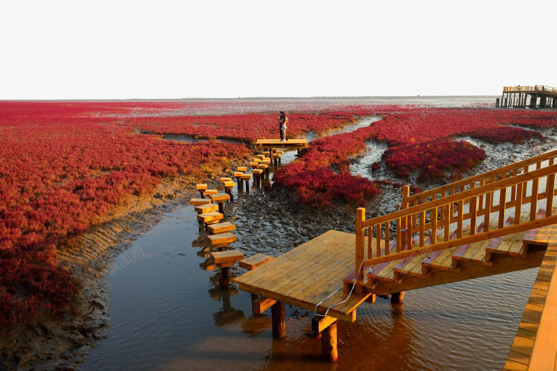 辽宁盘锦红海滩国家风景廊道四png免抠素材_新图网 https://ixintu.com 名胜古迹 旅游风景 著名建筑