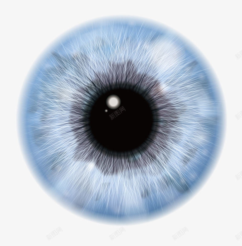 蓝色眼珠瞳孔png免抠素材_新图网 https://ixintu.com 卡通 眼珠眼球 眼睛 瞳孔 矢量图案 蓝色 隐形眼镜