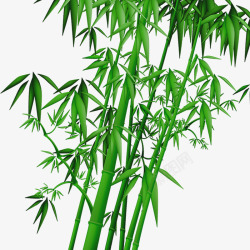 卡通绿色竹叶竹子素材